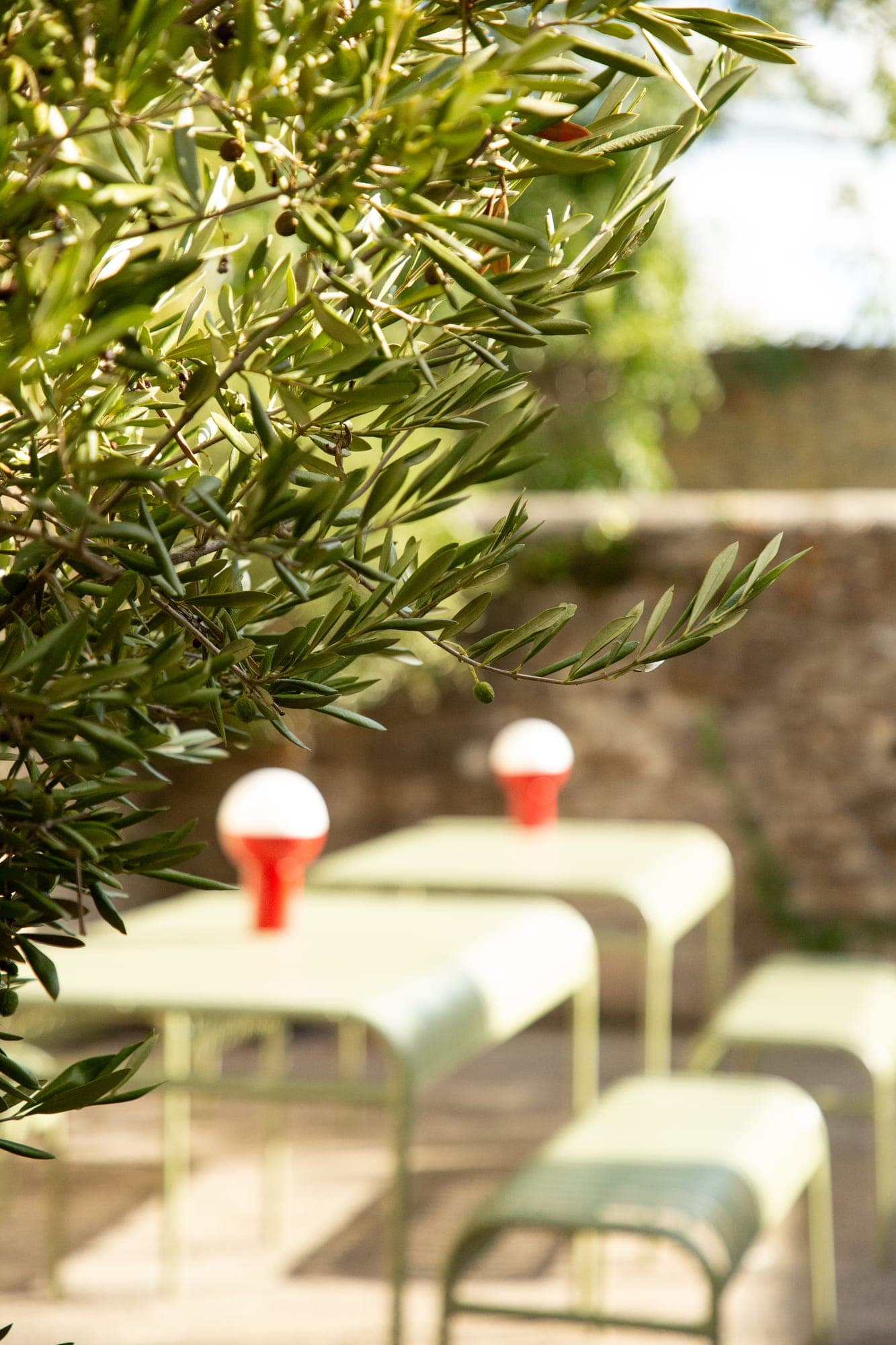 The garden tables and red lamps seen through olive branches